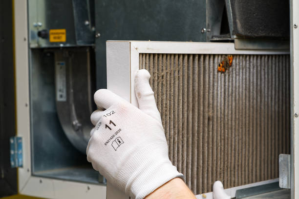 Best Commercial Air Duct Cleaning  in Sun City, AZ