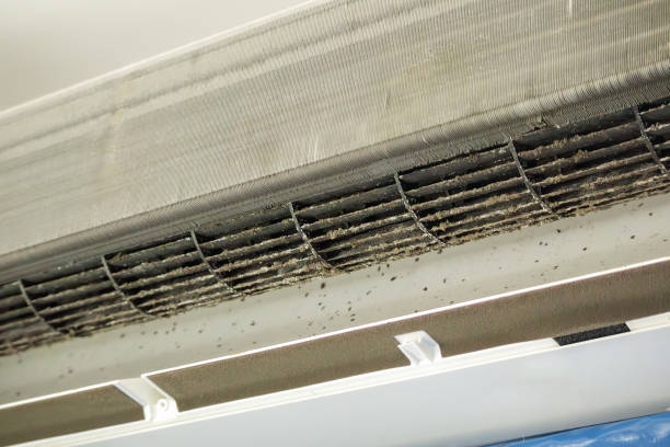 Best HVAC Duct Inspection Services  in Sun City, AZ